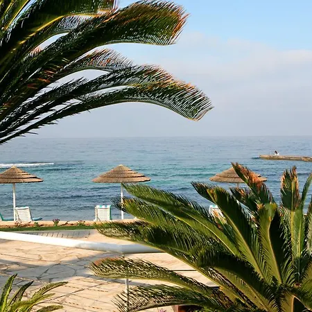 度假村 帕福斯奥运礁湖度假村 Paphos